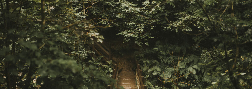 ecofantasy
